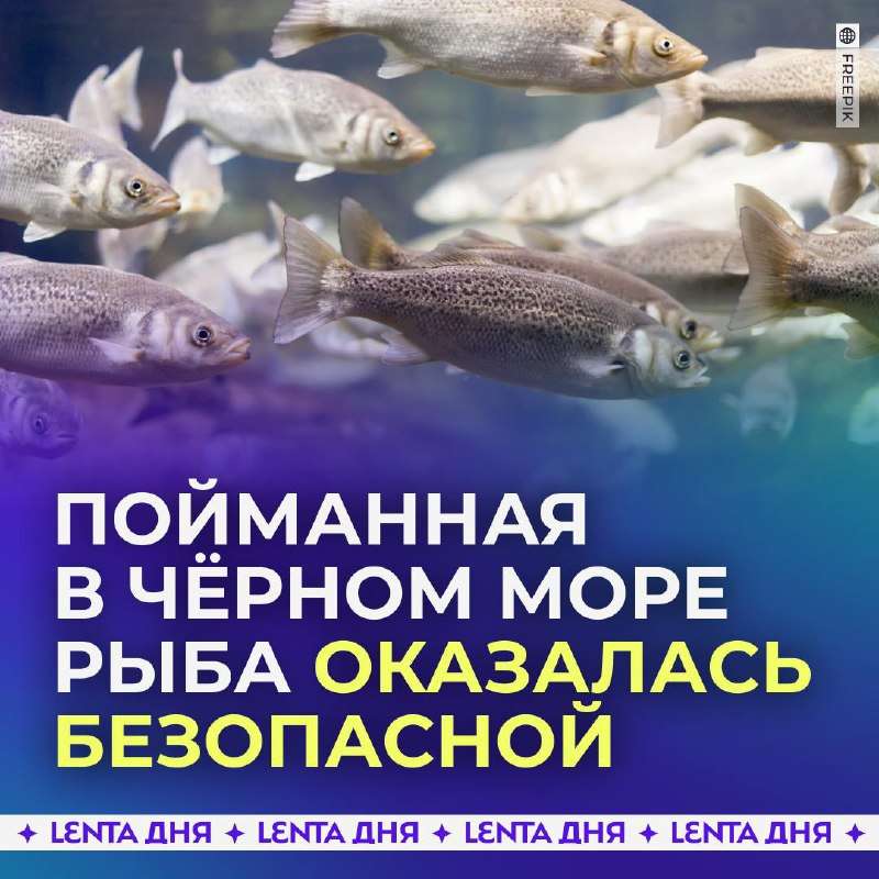 Чудеса подводного царства: рыба не боится загрязнений! - новости