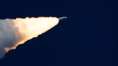 Космический ремонт на МКС с французскими элементами